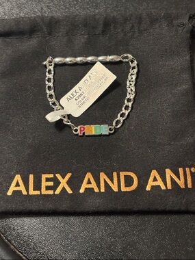 Alex and Ani Silver Stretch Rainbow PRIDE  Chain Bracelet
